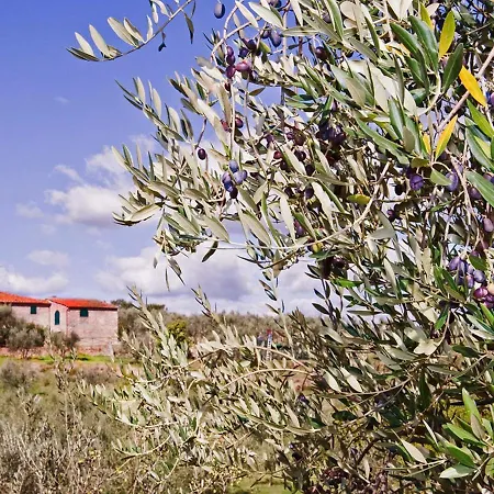 Belvilla By Oyo La Casa Dei Due Olivi